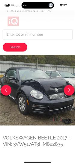 Volkswagen Beetle